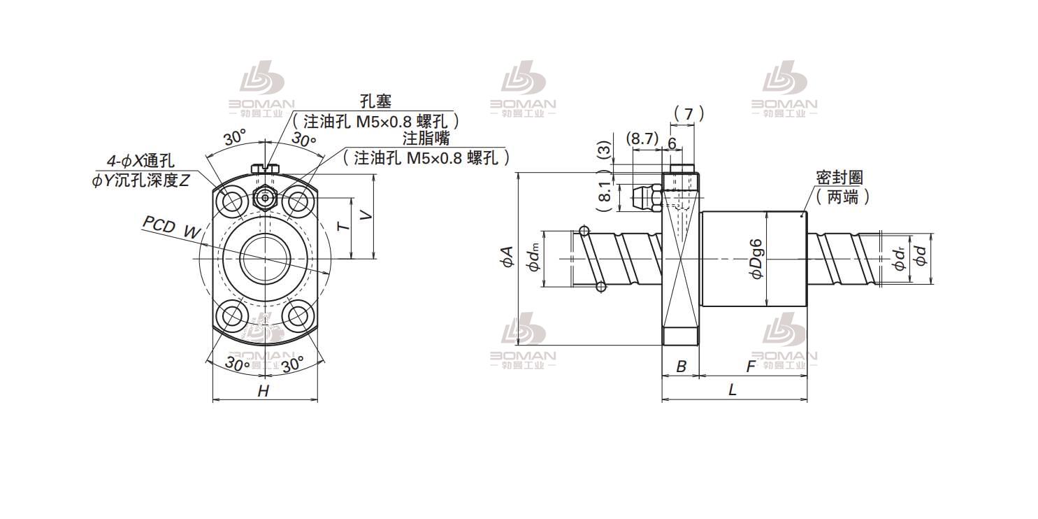 BSS2005-3E-730-C5-BSS标准系列丝杠