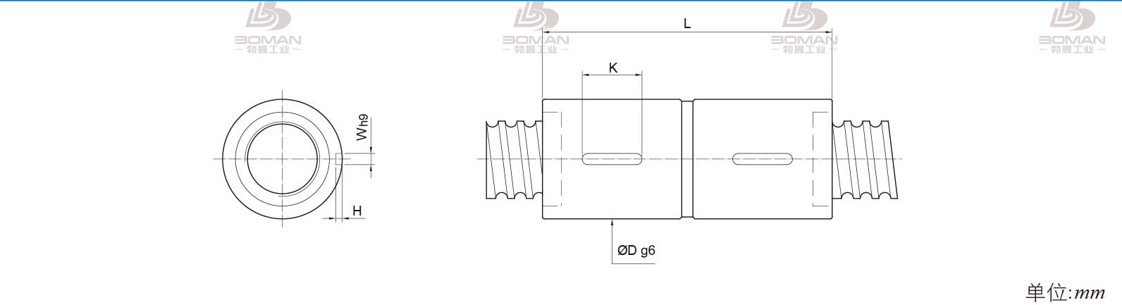 PMI RDIC8010-4 pmi丝杠官网